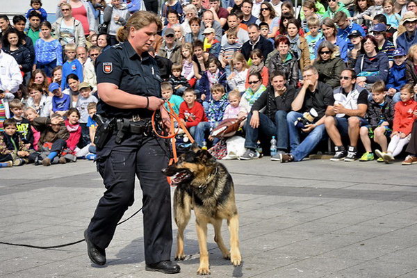 Polizeishow   042.jpg